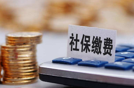 自费社保太坑了亏大了，自费社保在哪里交