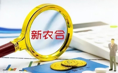 新农合2024年收费标准多少钱