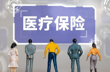 一年交380元是什么医保报销标准