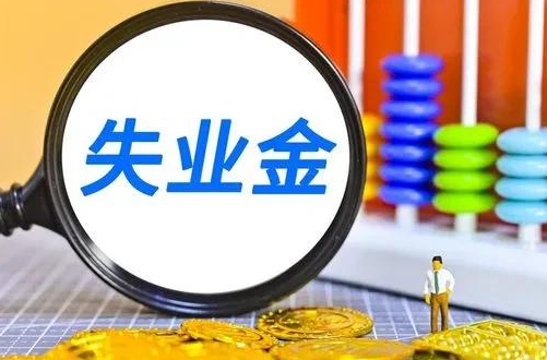 失业金领取条件及标准2024