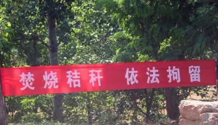 中央对秸秆焚烧的规定，还能烧秸秆吗