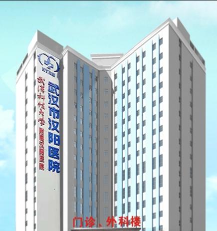 武汉市汉阳区钟家村养老服务中心（医保免费血液透析）