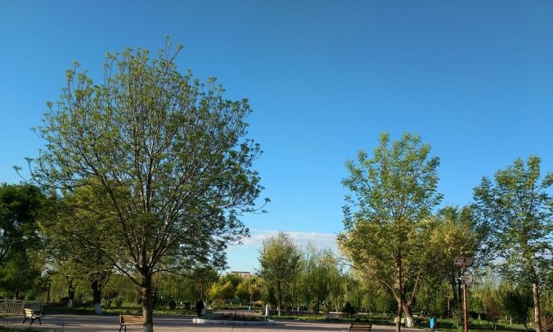 呼图壁县仁和养老公寓