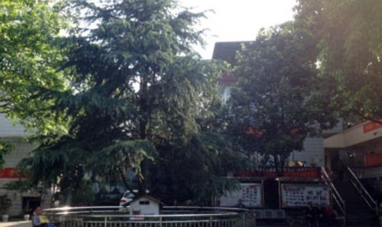 南山枫叶园老年公寓