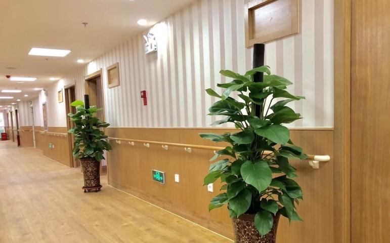 乐善之家公园壹号老年养护院