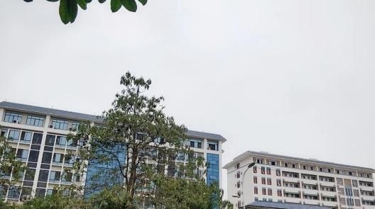 来宾市红水河护养院