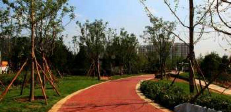 太原市长青藤老年养护院