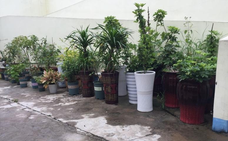 宿城区秀林老年养护院