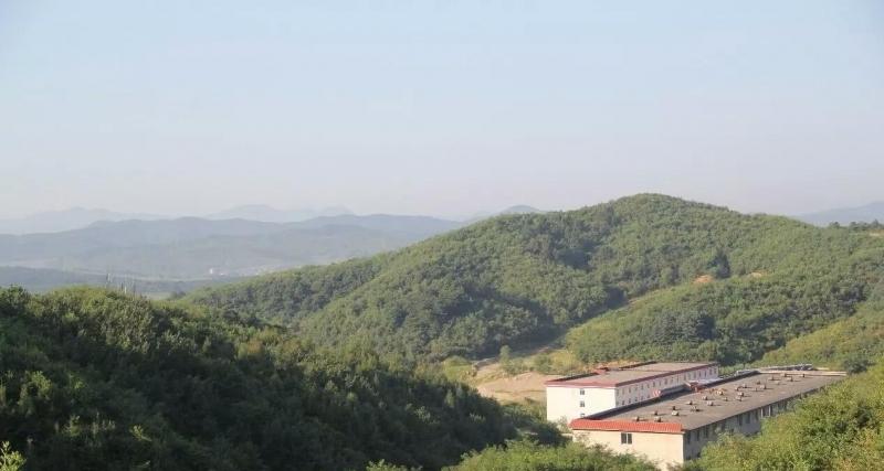 君临博爱养老院