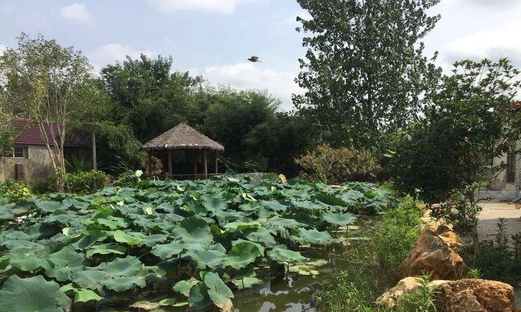 南京市六合区霞漫天老年公寓