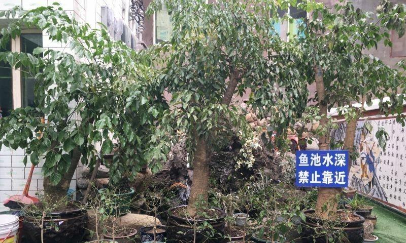 贵阳市天伦敬亲老年公寓