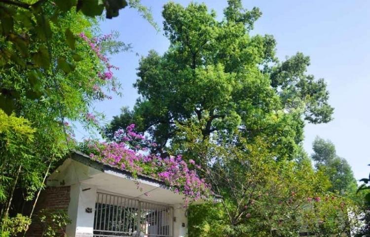 南充晚晴养老会所