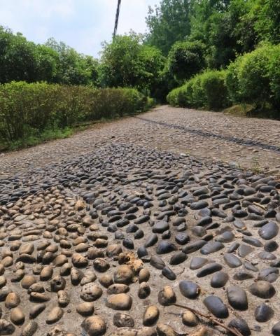 夕阳树老年公寓