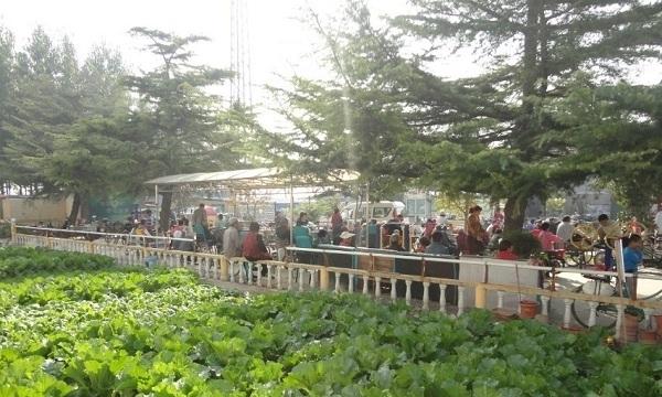 桓台县颐年托养院