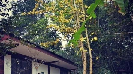 乐山市九百洞生态养老院