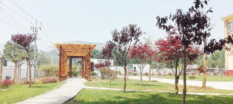 枣庄甘泉护理院