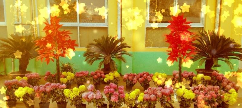 商丘市夕阳红回族老年公寓