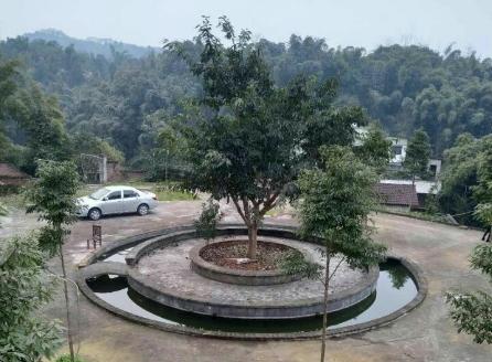 江安县南屏山生态山庄老年公寓