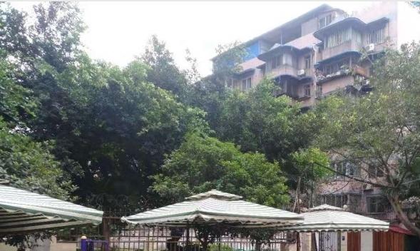 成都市青羊区瑞吉养老服务中心