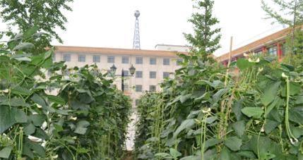 祥爱缘老年公寓样云分院