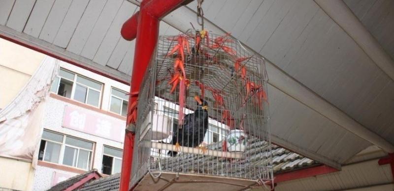 南京市下关区江南明珠养老院