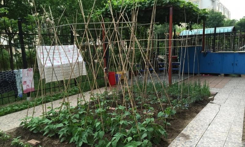 沈阳市皇姑区居家型护理院