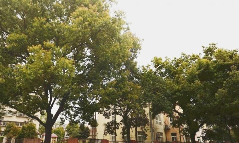 秦淮区康源老年公寓