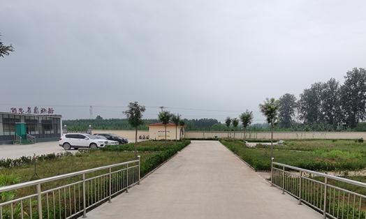 灵寿县福顺康养老院