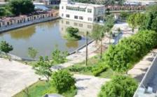 惠州市惠阳区龙丰桃园养老公寓