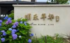 蓝城·桃李春风颐乐年华