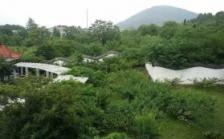 徐州玉花园养老康复院