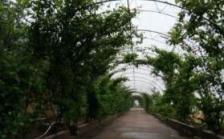 兴城市卧龙山生态园老年公寓