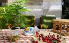 宏善·嘉康荟颐年公寓